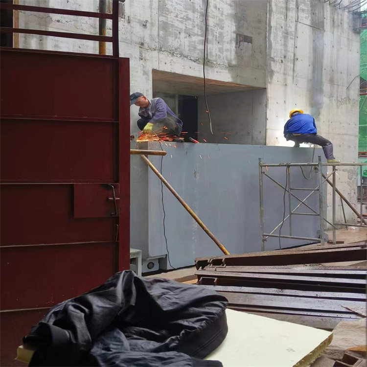 大理聊城阳谷铅门生产厂家:高强度铅门的应用